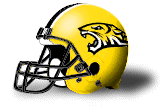 towsonhelmet.gif